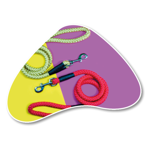 Apparel & Accessories